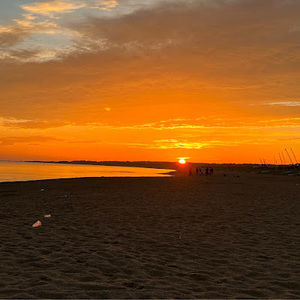 Meet your Posher, Reese